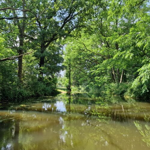 kajaki-milicz-barycz