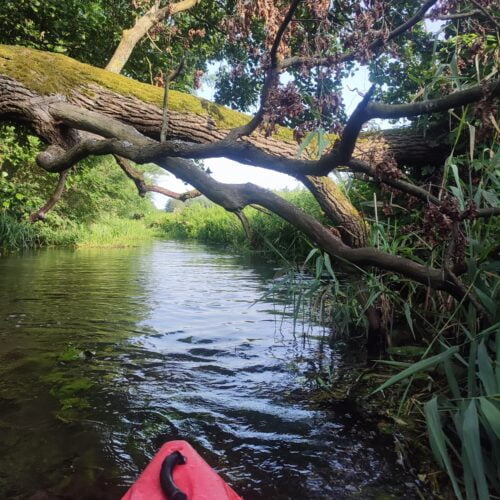 kajaki-milicz-przeprawa